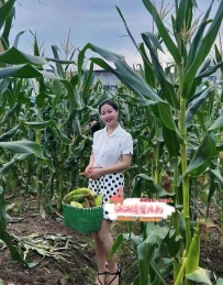文琪 164-49kg-D-39歲    熟女的風韻，美艷不可方物，
