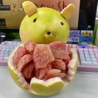 像老鼠？？？？？？